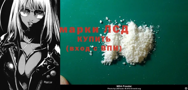 PSILOCYBIN Липки
