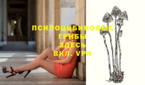 альфа пвп Лиски