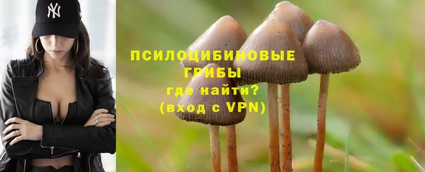 альфа пвп Лиски